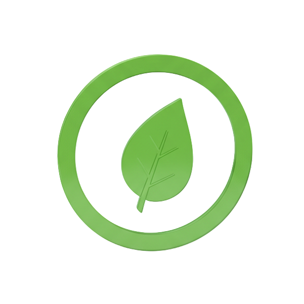 Eco-friendly Cleaning